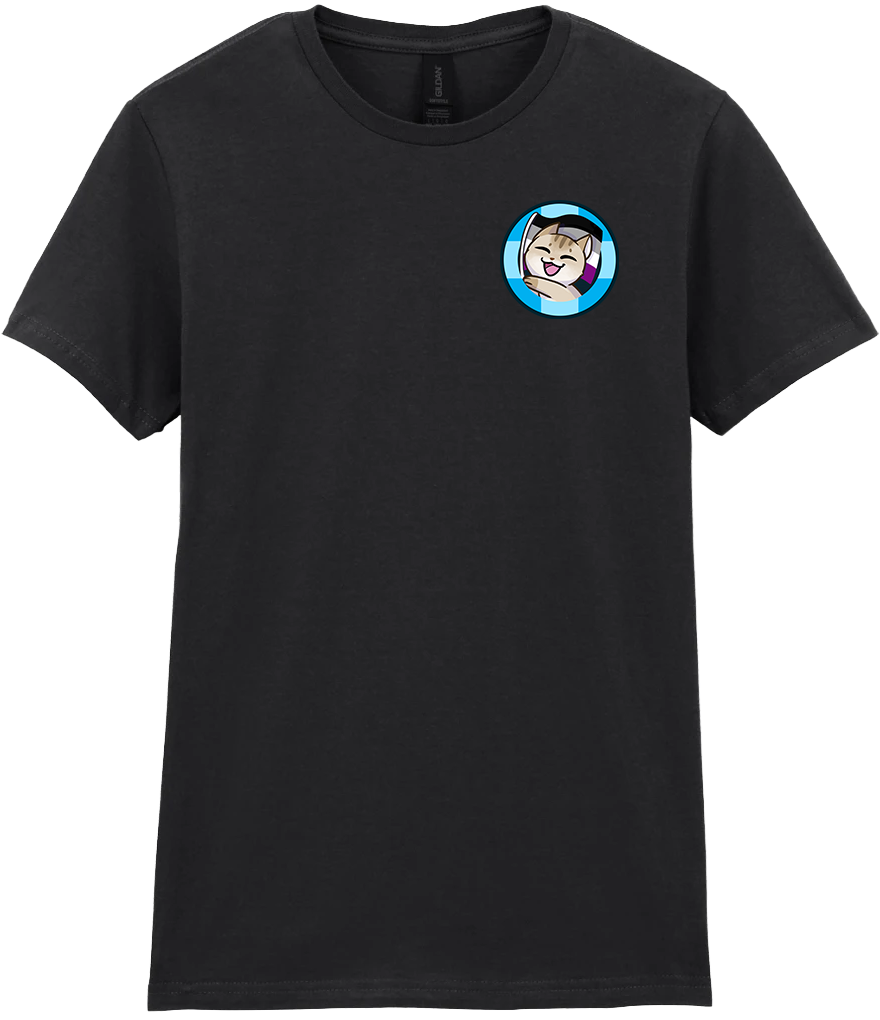 Adult Ladies T-Shirt - Pride
