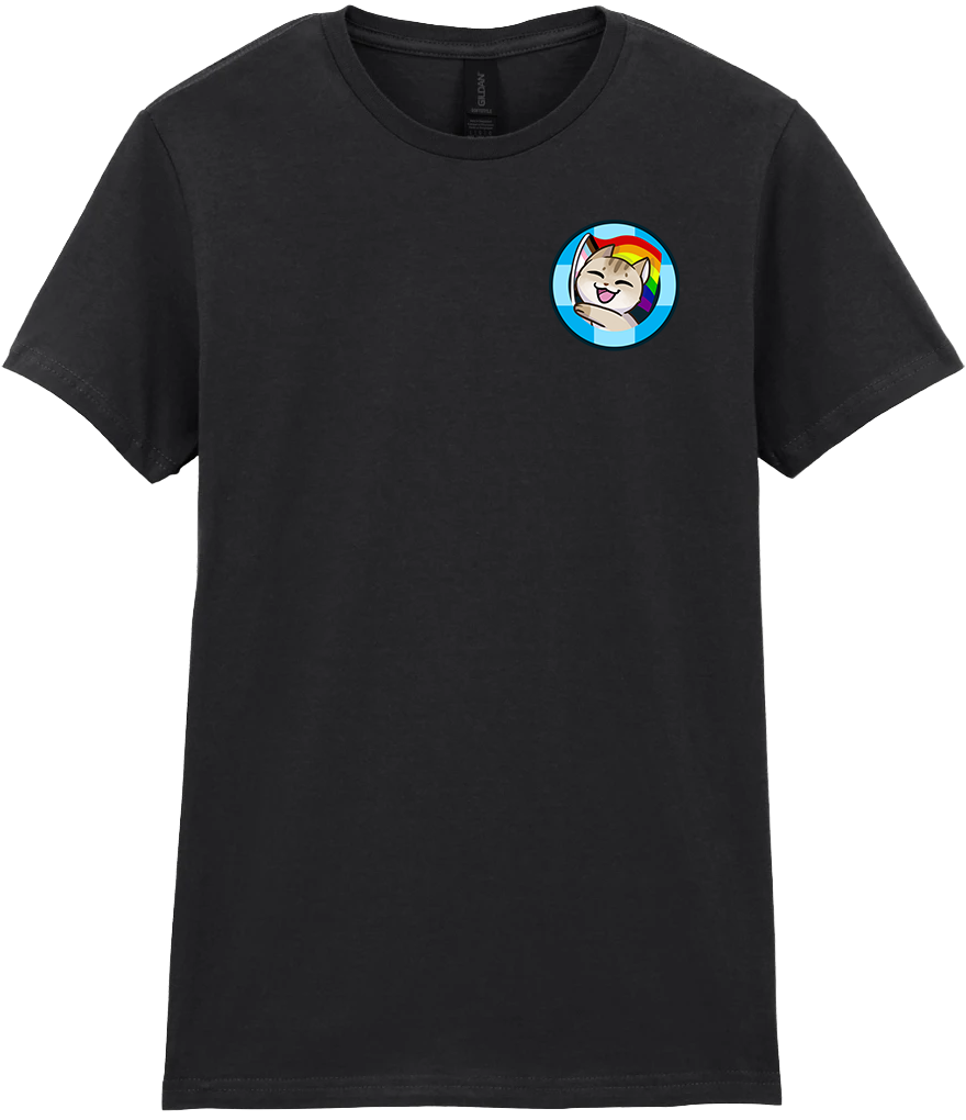 Adult Ladies T-Shirt - Pride