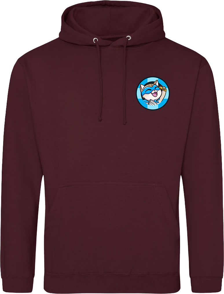 Adult College Hoodie - Captain Stats