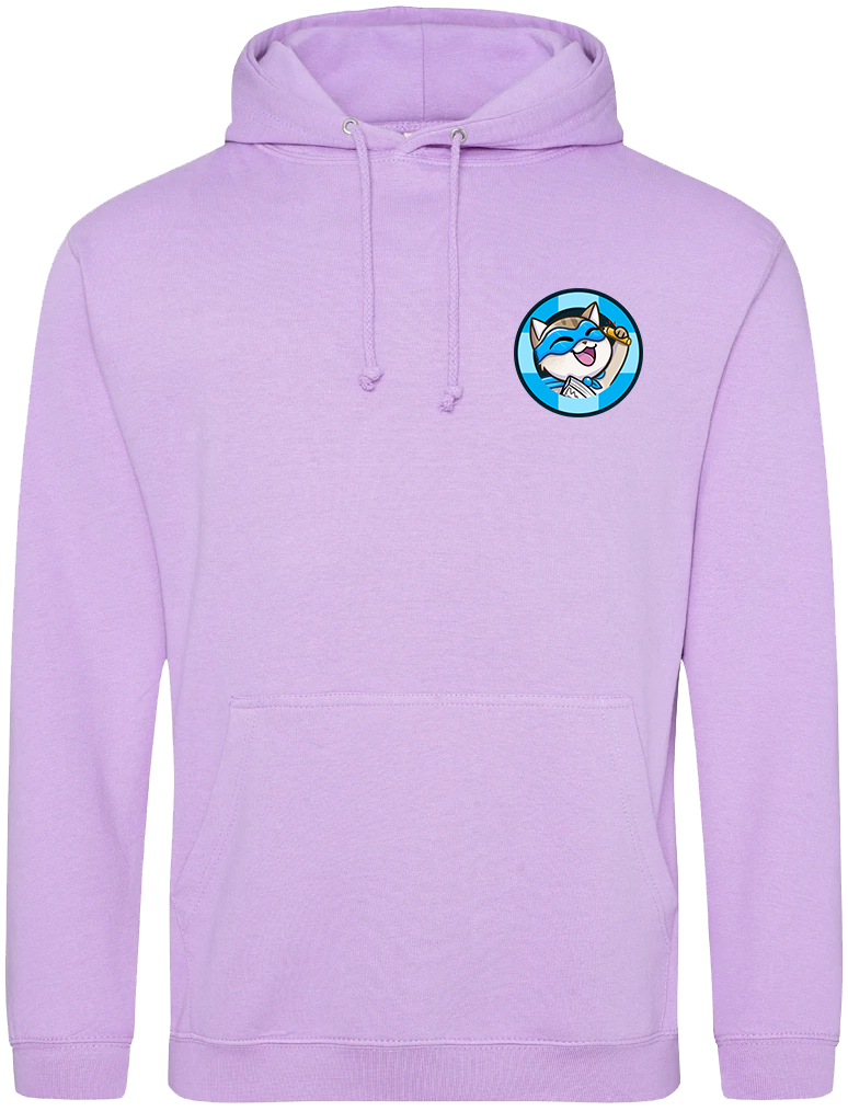 Adult College Hoodie - Captain Stats