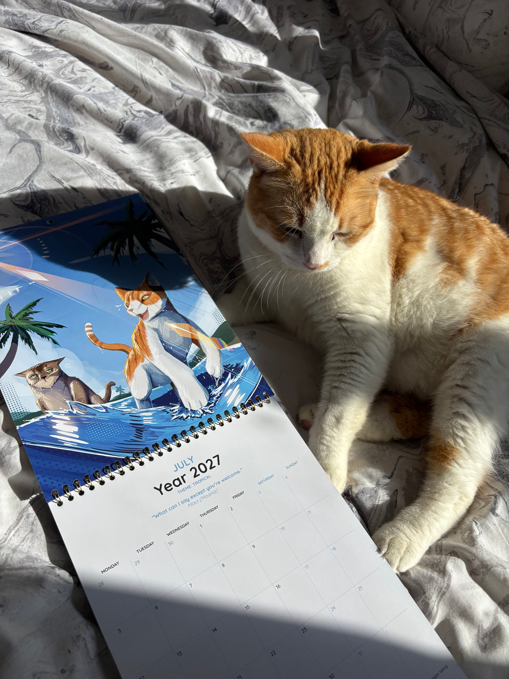 Club601 2027 Calendar