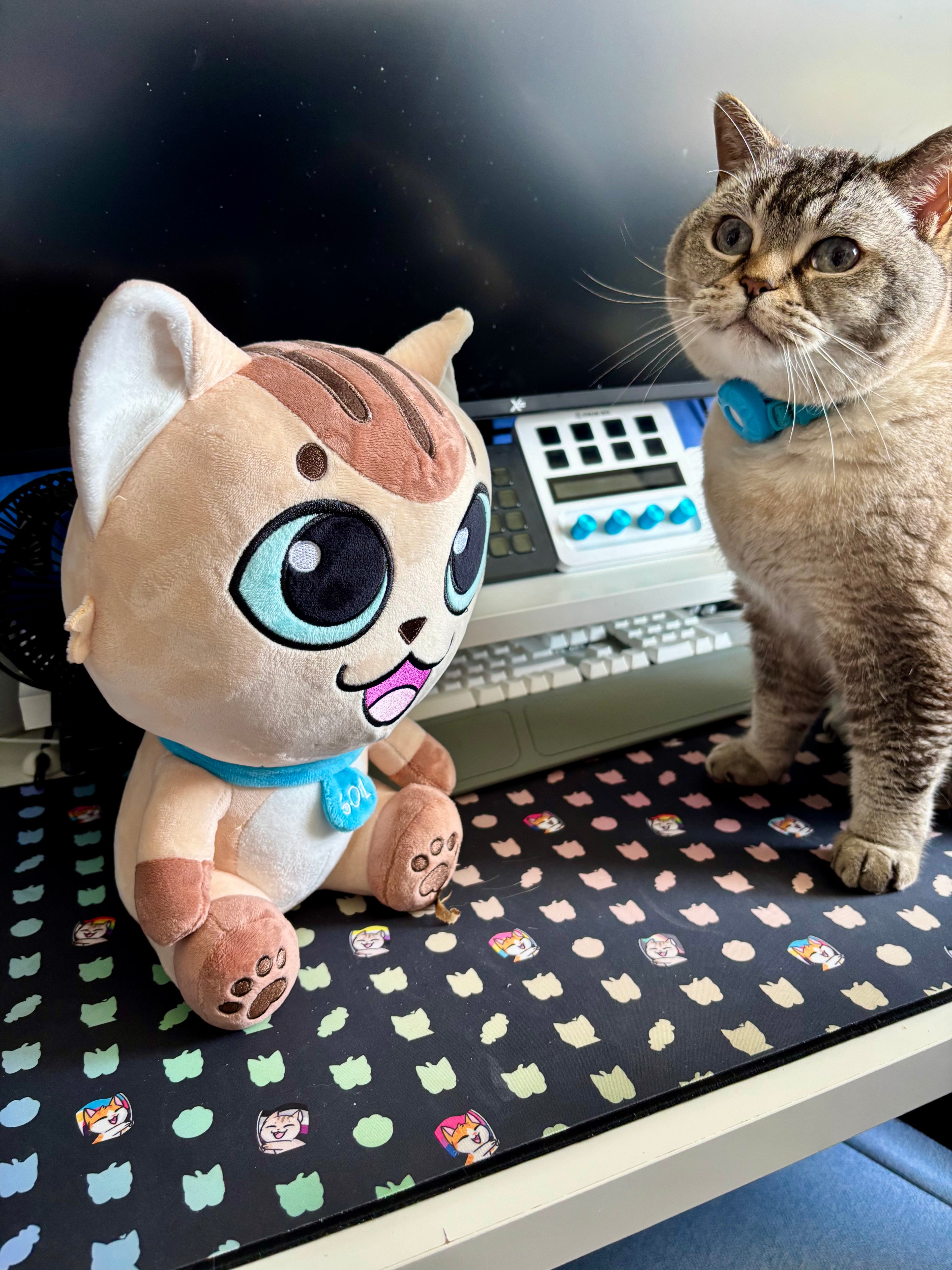 Ted Plushie